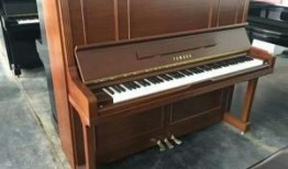 雅马哈钢琴爆料视频,最新爆料视频深度解析