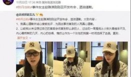 河南出轨爆料新闻视频,真相与道德的碰撞
