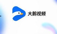 爆料大鹅解说视频网站,视频网站背后的精彩故事
