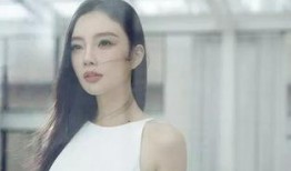 北方老赵前期爆料事件视频,真相与争议并存